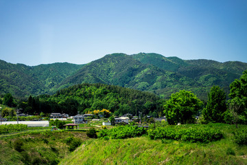 Fototapeta na wymiar Village near the green mountains, bright with trees on the bright sky