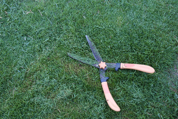 Grass cutting scissors on the grassy background.