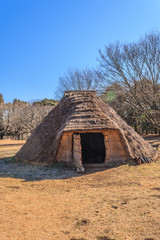 Fototapeta na wymiar 冬の加曽利貝塚の復元された住居