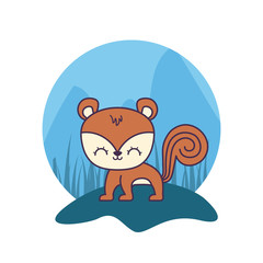 cute chipmunk animal icon icon vector ilustration