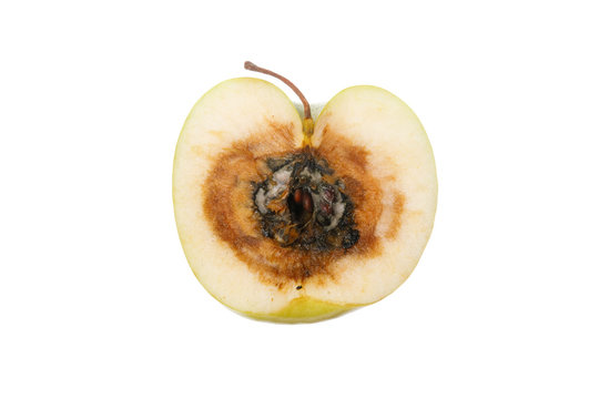 Half of a rotten apple
