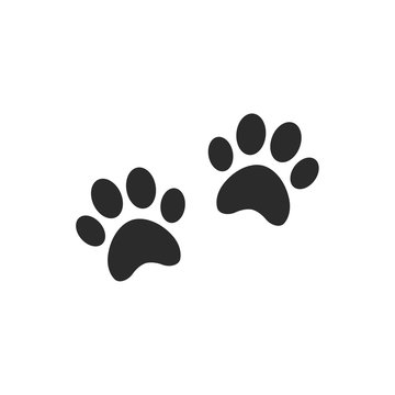 Paw Print icon template black color editable. Paw Print symbol Flat vector sign isolated on white background. Simple logo vector illustration for graphic and web design.