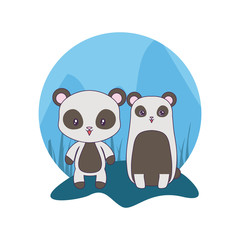 panda bears animals isolated icon