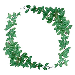 leaf wreath isolated on white background .Hand painted Watercolor illustrations.