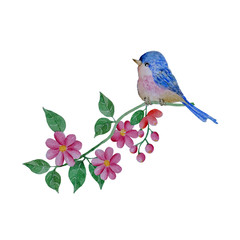 Bird and flowers wreath isolated on white background .Hand painted Watercolor illustrations.