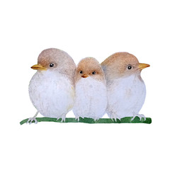 Bird watercolor isolated .Bird  on white background. Watercolor hand painted illustration of   Flying Bird .