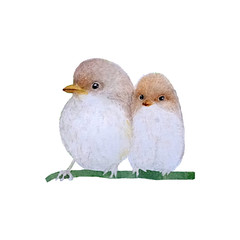 Bird watercolor isolated .Bird  on white background. Watercolor hand painted illustration of   Flying Bird .