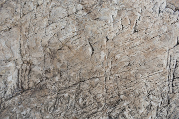 texture of stone wall background