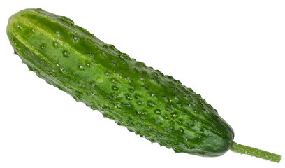 Green cucumber isolated on white background
