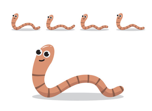 Animation Animal Worm Crawling Cartoon Vector Illustration