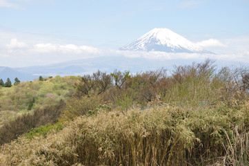 山伏峠より富士山