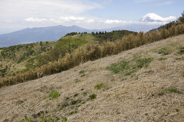 山伏峠より富士山と愛鷹山