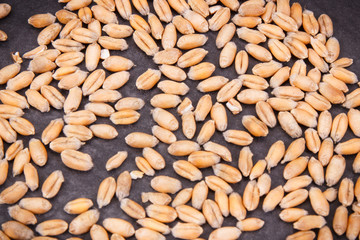 Heap of rye or wheat grains, agricultural concept