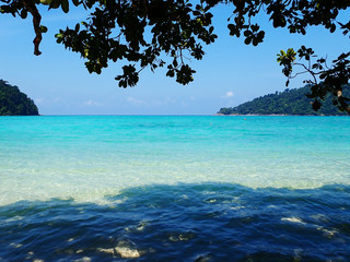 View of a tropical landscape with trees and white sand, Surin Island