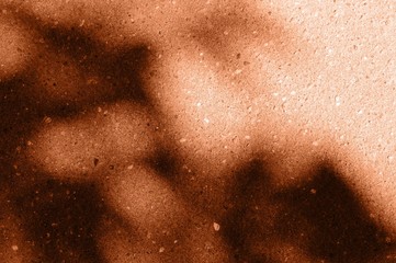 Fototapeta premium Asphalt surface with the shadow of tree branches close up. Abstract background orange color toned