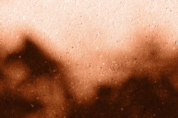 Fototapeta premium Asphalt surface with the shadow of tree branches close up. Abstract background orange color toned