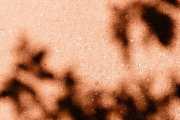 Asphalt surface with the shadow of tree branches close up. Abstract background orange color toned