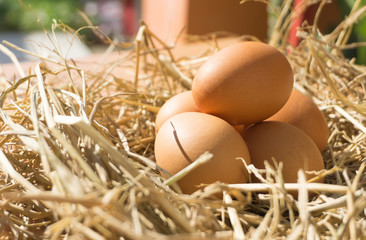 Close up chicken eggs on straw with wooden and reflective sunrise .Fresh eggs from farm for cooking with blurred background.