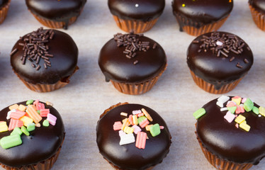 Delicious chocolate cupcakes with chocolate chips sprinkled, candy cane crumbs and icing on top for celebration or party.Chocolate Chips Sprinkled on Top