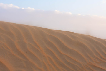 Obraz na płótnie Canvas Arabische Sandwüste
