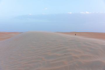 Fototapeta na wymiar Einsam in der arabischen Sandwüste