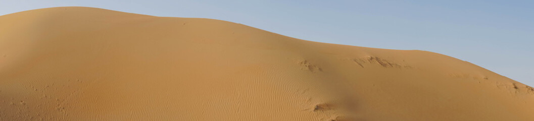 Fototapeta na wymiar Panorama der arabischen Sandwüste