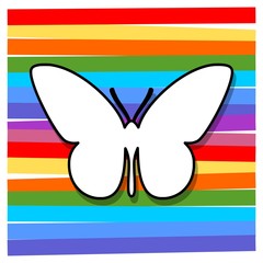 Exotic butterfly wild insect on colored background