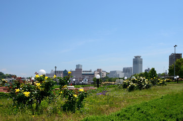 Fototapeta na wymiar 神奈川県横須賀市ヴェルニー公園の風景　日本