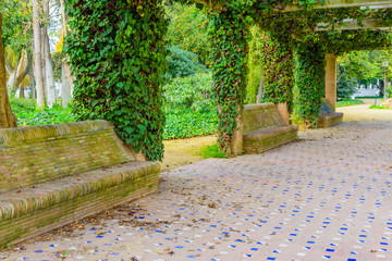 Street and architectural sketches. Seville. Andalusia. Spain