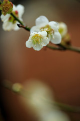 浮間公園 20