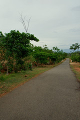way of the road in hill