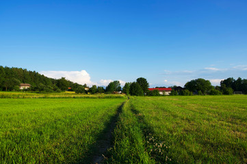 Ländliche Sommerlandschaft in Süddeutschland während der golenden Stunde