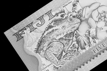 Five Fijian dollars banknote on a black background close up. Black and white