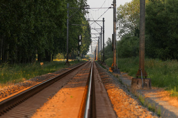 Single railroad line through forest