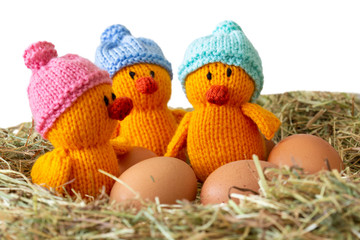 Fototapeta na wymiar Knitted chicken chicks toy with hats on and eggs. With a meadow hay straw grass background