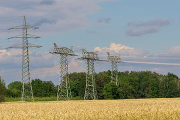 Landschaft mit reifer Gerste und Strommasten