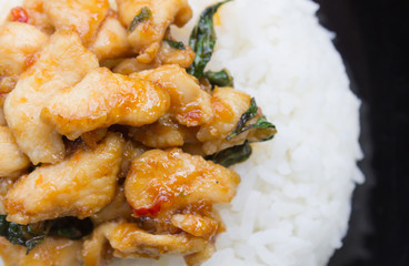 Stir-Fried Chicken and Holy Basil on Rice or Thai Food Recipe Flatlay Left Frame