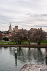 Avignon, in the region of Provence, France. Historic fortified city famous for the Palace of the Popes, it is crossed by the Rhone river.