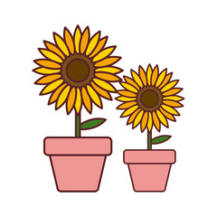 Obraz premium set of sunflowers in pots isolated icon