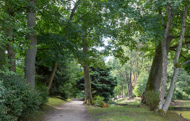 Palanga Botanical Park lane in summer midday