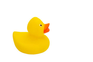 Yellow rubber duck children bath toy