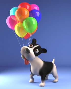 Cartoon Black And White Puppy Dog In 3d Playing With Colored Balloons