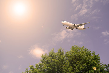 Fototapeta premium Airliner over green trees against the sky sunset.