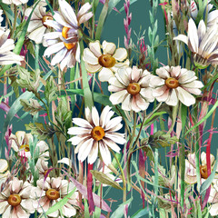 Fototapety  Kwiaty polne bezszwowe wzór