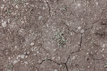 cracked concrete texture