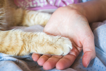 Female palm holds a red cat's paw.