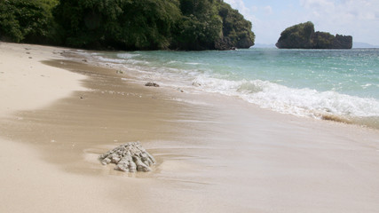Remains of dead coral washed up on a beach, the Andaman Sea, Koh Poda Island, Thailand