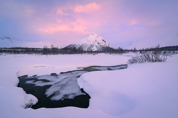 Winter snow and ice landscape, beautiful nature, snow monsters, trees, Arctic Circle, cold environment
