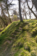 The mountain road. Climbing wooden stairs. Walking up on hill in forest Climbing up in the forest. Uphill path. Hiking in forest. Step by step. Walking up. Hard journey. Walking against difficulties.