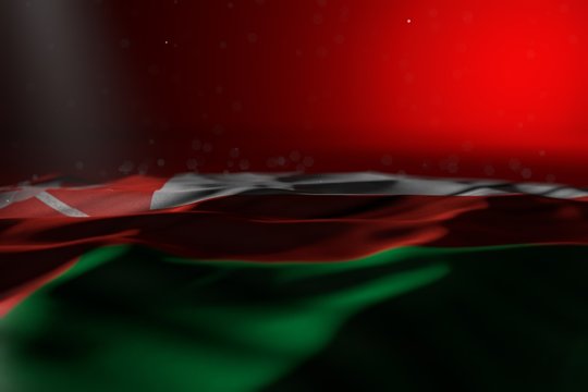 wonderful holiday flag 3d illustration. - dark image of Oman flag lying flat on red background with bokeh and empty space for your text